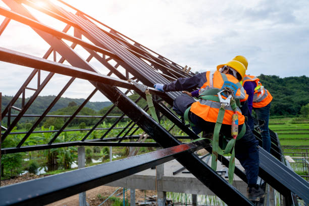 Best Roof Gutter Cleaning  in Winnsboro, SC