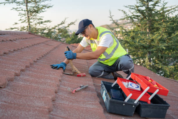 Best Roof Repair Services  in Winnsboro, SC
